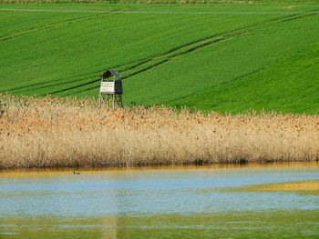 Scenic view of agricultural field