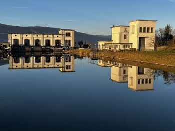 Mirror on the lake 