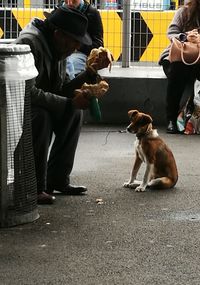 Man and dog on street