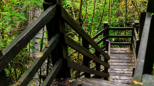 Close-up of metallic structure in forest