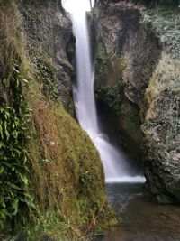Scenic view of waterfall in forest