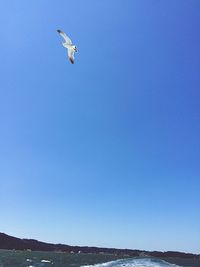 Scenic view of sea against blue sky