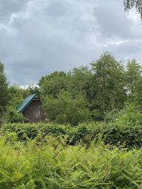 Trees and plants growing on field against sky