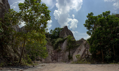 Panoramic view of forest against sky