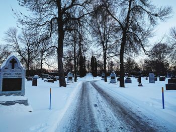 Road amidst bare trees during winter