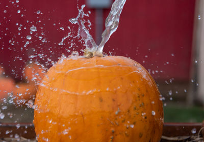 Close-up of water drops on orange