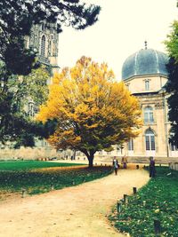 Building with trees in background