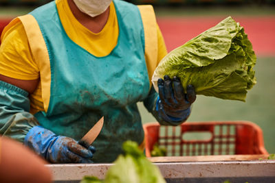 Midsection of man working with vegetables