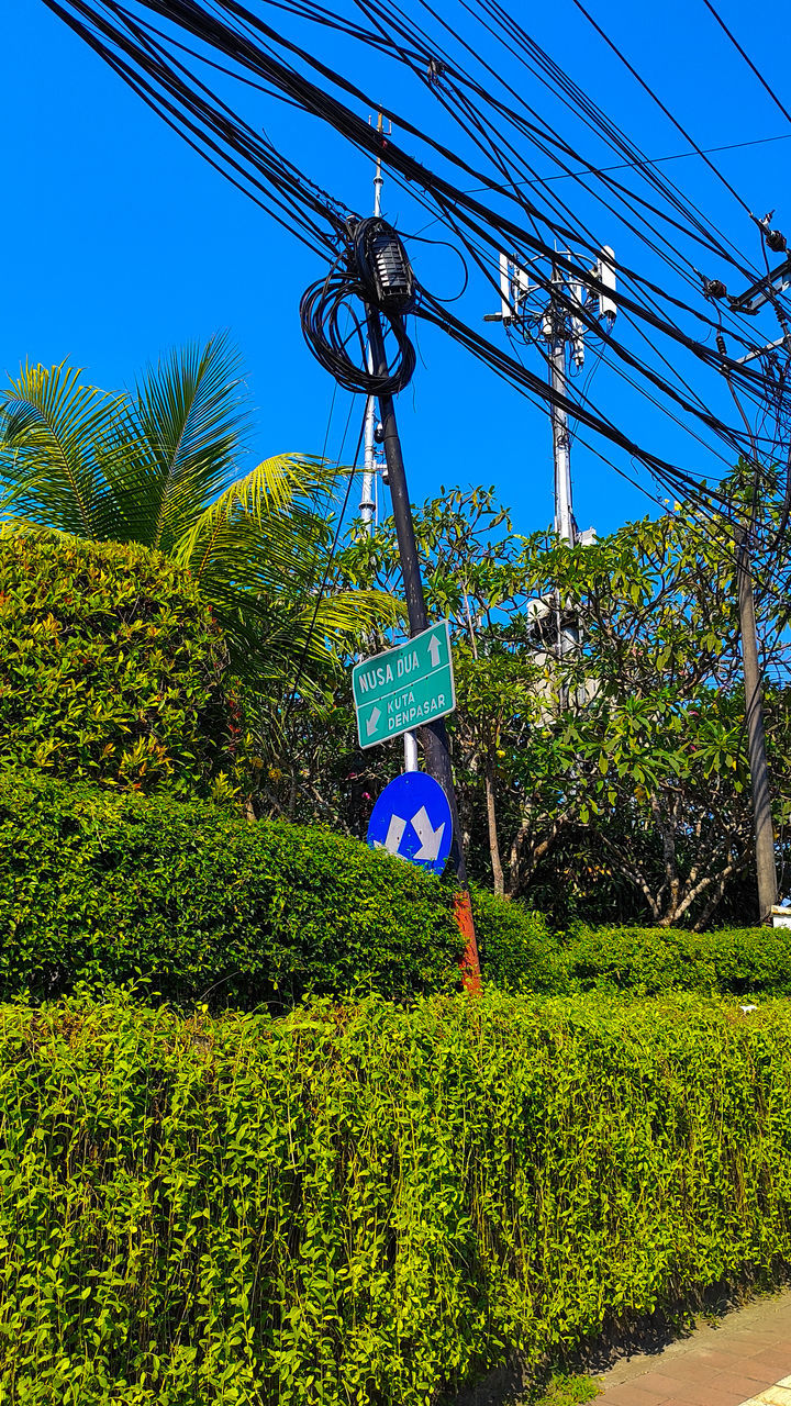 plant, flower, nature, tree, electricity, cable, green, sky, day, no people, technology, growth, outdoors, power line, blue, architecture, built structure, clear sky, sunlight, power generation, lighting equipment, communication, road, transportation, lighting, low angle view