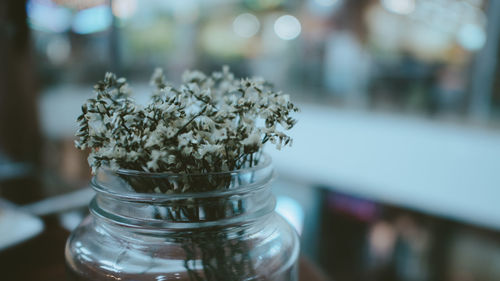 Close-up of flower on table
