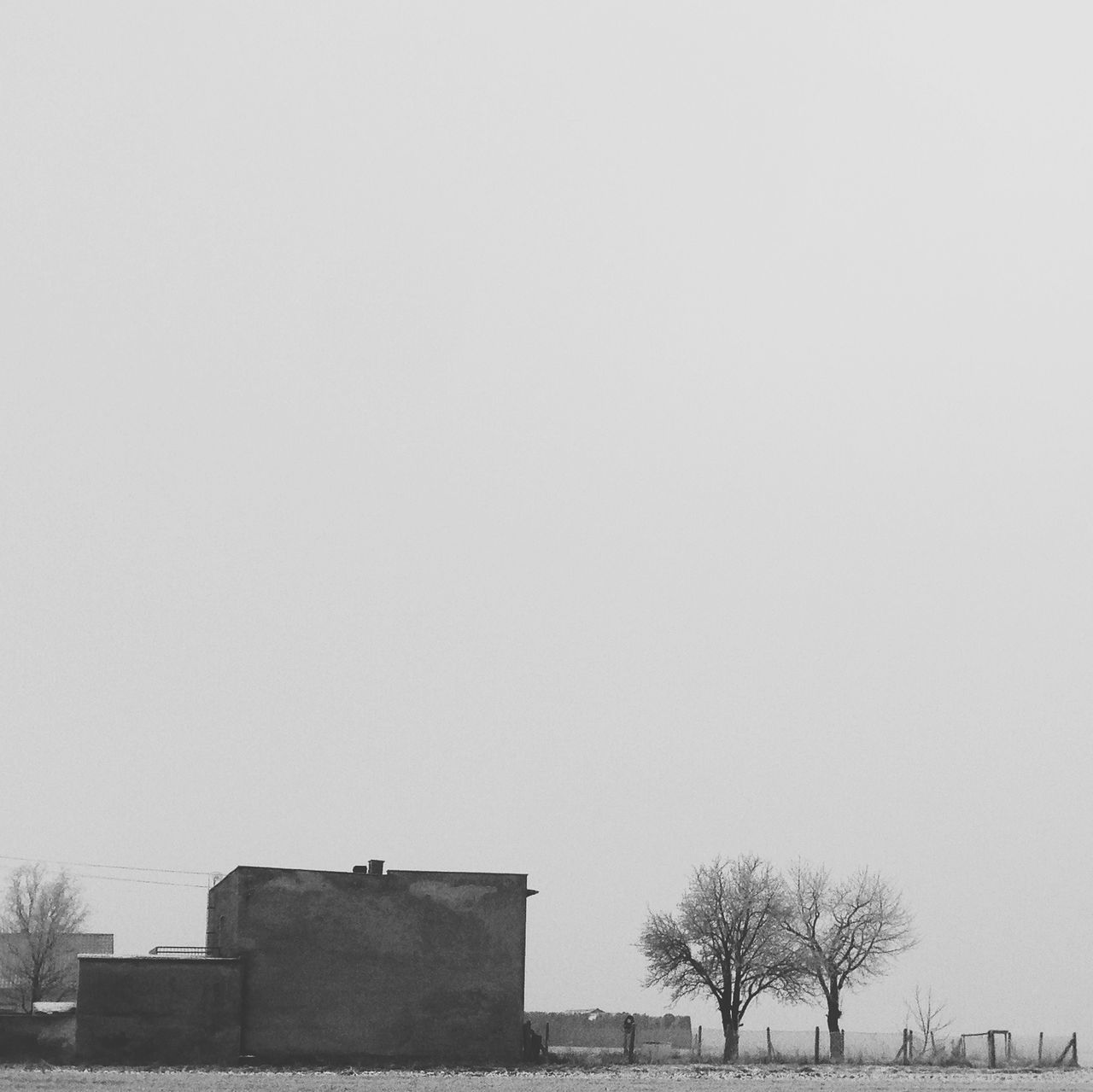 clear sky, copy space, architecture, tree, built structure, building exterior, low angle view, house, outdoors, day, sky, nature, roof, no people, residential structure, growth, building, tranquility, high section, overcast