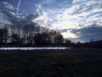 Trees on landscape against sky
