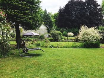 Empty chair against trees on landscape