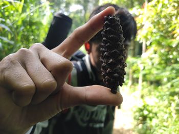 Close-up of hand holding pine cone while standing outdoors
