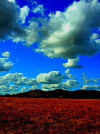 Scenic view of field against blue sky