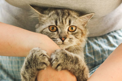 Close up of woman holding her persian cat, human-animal relationships.