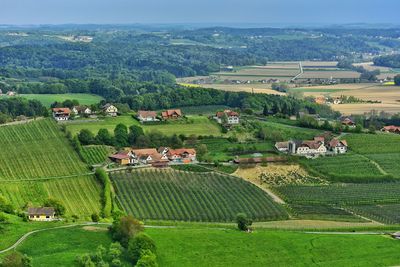 Scenic view of rural landscape