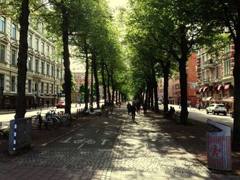 View of city street