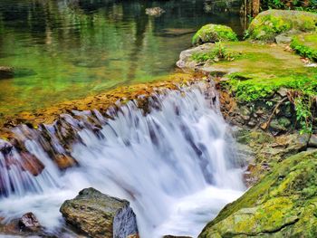 Scenic view of waterfall in forest