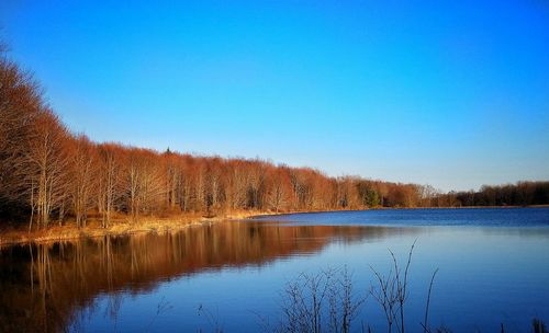 Reflection of trees in water against clear sky