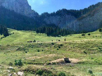 Scenic view of grassy field against mountains