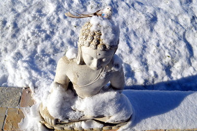 Close-up of statue against snow