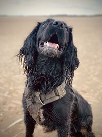 Perfect beach posture