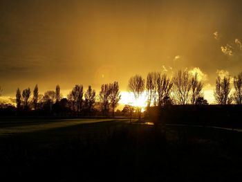 Silhouette trees on field against sky during sunset