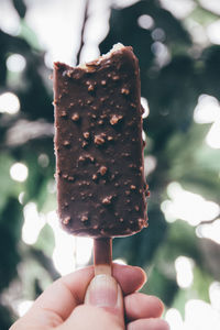 Cropped image of hand holding chocolate ice cream