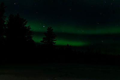 Silhouette trees on landscape against sky at night