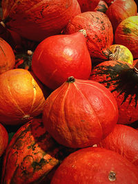 Full frame shot of pumpkins at market