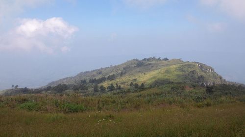 Scenic view of field against sky