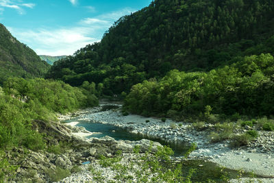 Scenic view of river against sky