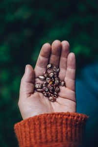 Close-up of woman holding seed