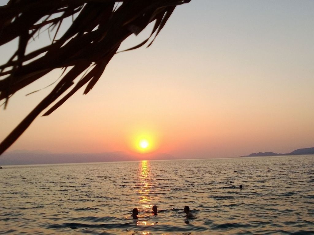 sea, sunset, water, horizon over water, silhouette, sun, scenics, tranquility, beauty in nature, clear sky, tranquil scene, bird, nature, orange color, sky, idyllic, animal themes, beach, reflection, sunlight