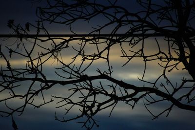 Low angle view of silhouette bare tree against sky at sunset