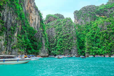 Scenic view of sea and trees