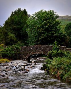 Bridge over river in forest against sky