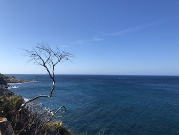 Scenic view of sea against blue sky