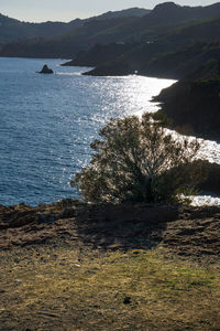 Scenic view of sea and mountains against sky