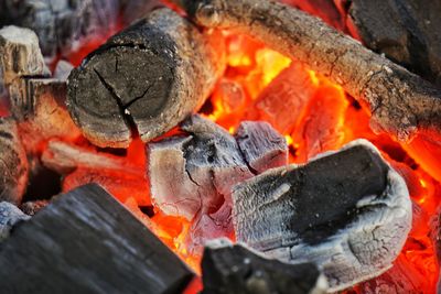 Close-up of fire on log