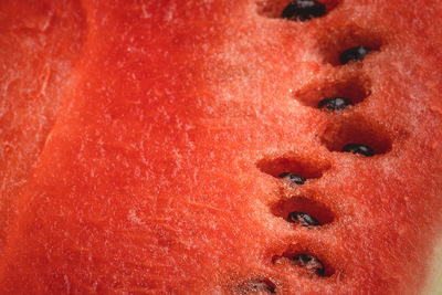 Close-up of bread