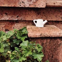 Coffee cup on wall