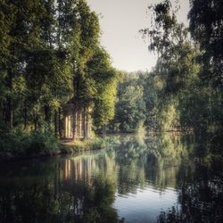 Scenic view of lake in forest against sky