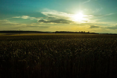 Scenic view of field against sky during sunset