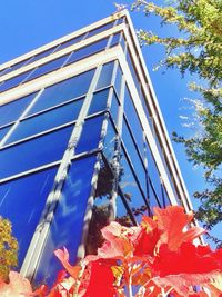 Low angle view of building against blue sky