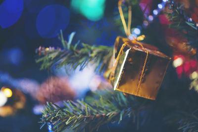 Close-up of decoration hanging from christmas tree