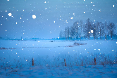 A beautiful, dark winter scenery while snowing. bright white snowflakes.