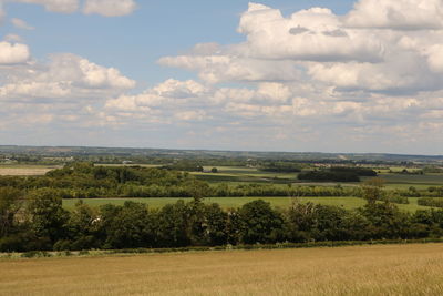 Scenic view of agricultural field against sky