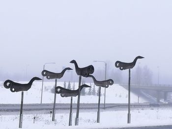 Flock of birds against clear sky